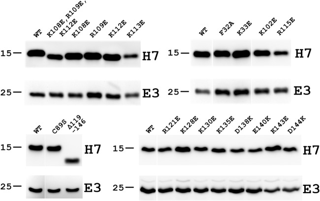 FIG 6