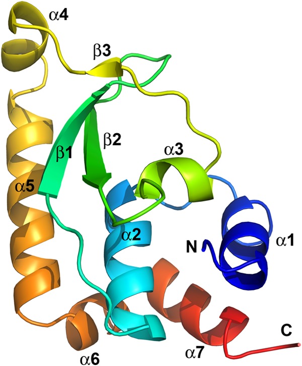 FIG 1