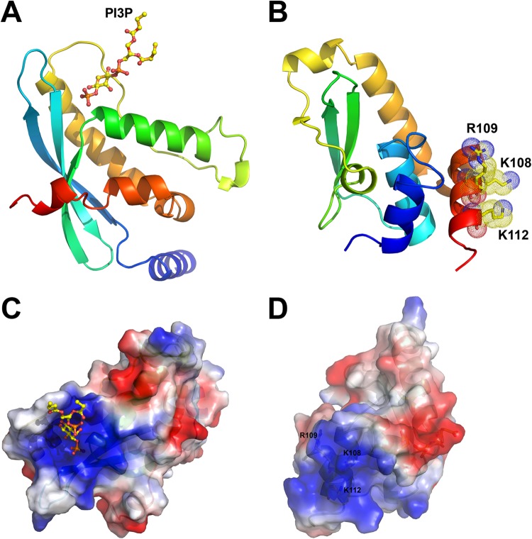 FIG 2