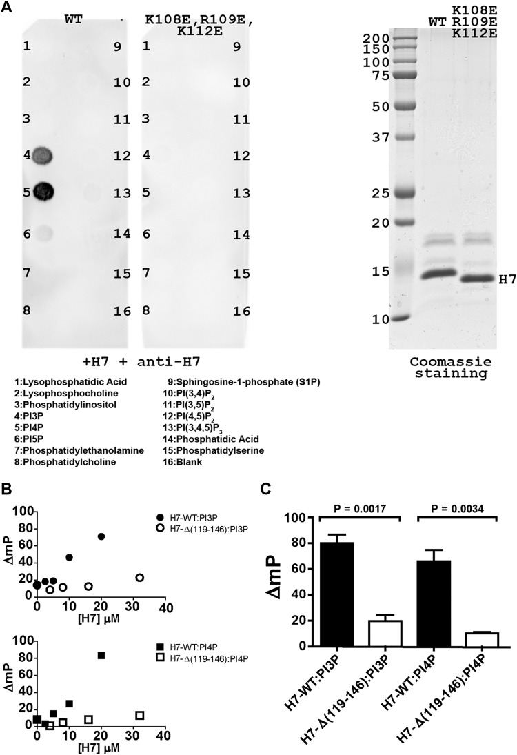 FIG 3