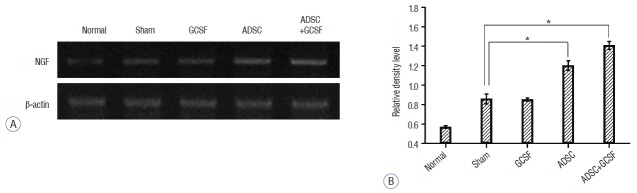 Fig. 12