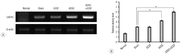 Fig. 11