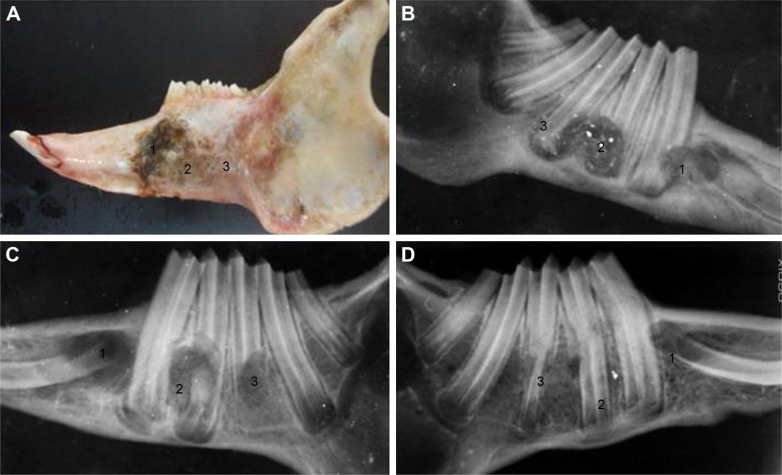 Figure 13