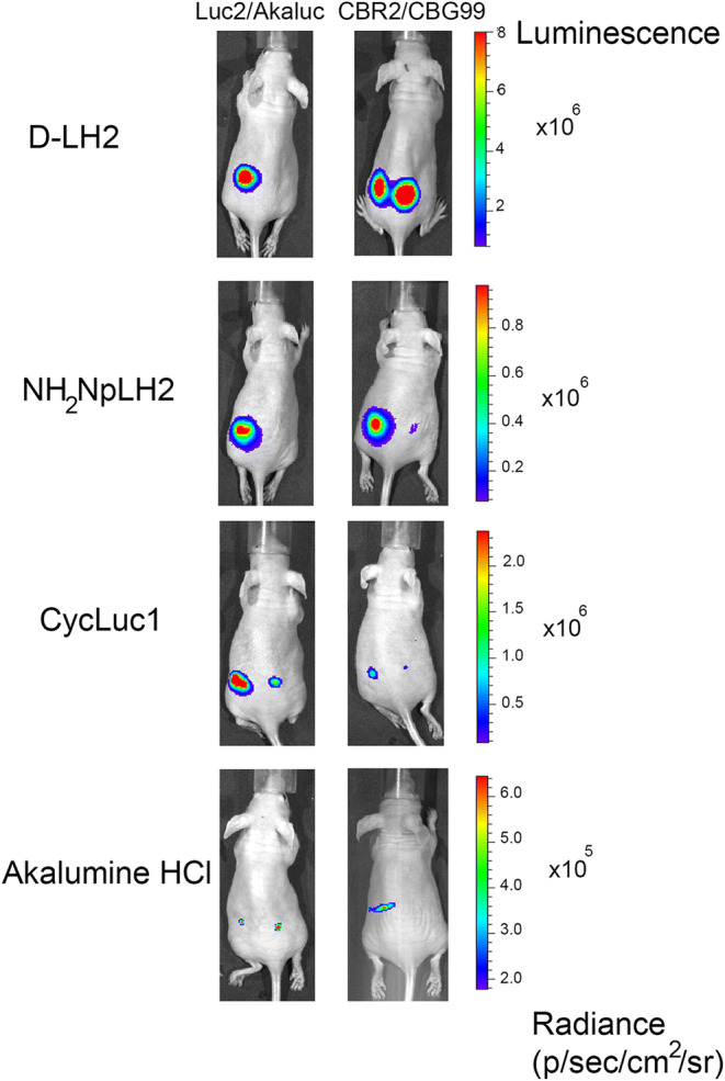 Fig. 3.