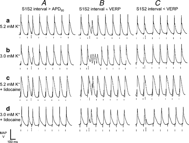 Fig. 2