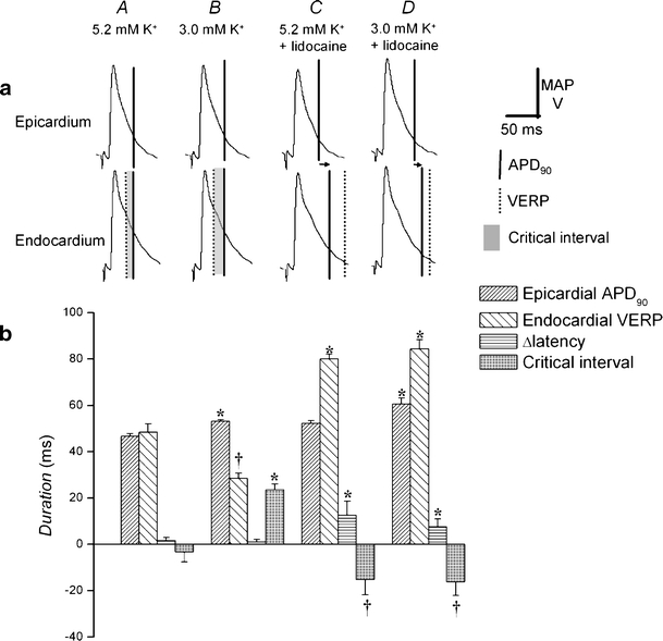 Fig. 7