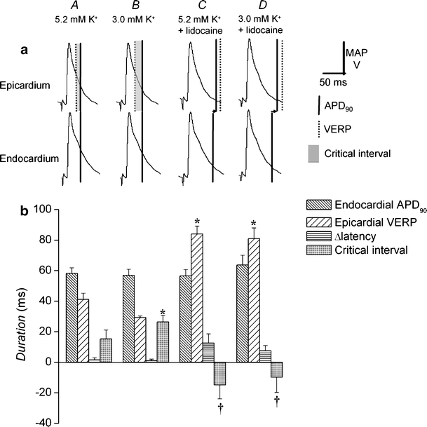 Fig. 6