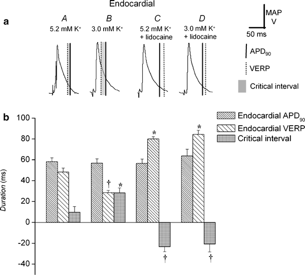 Fig. 4