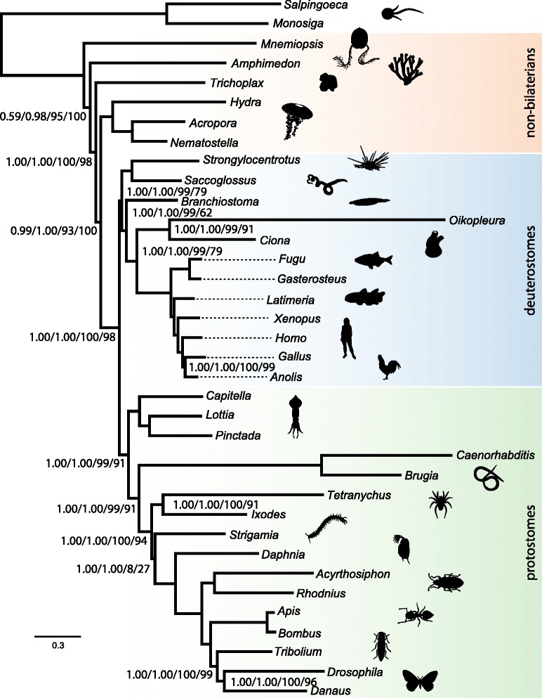 Fig. 3