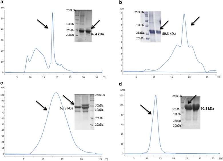 Fig. 2