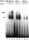 Fig. 9.