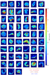 Figure 4:
