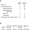 Figure 3—figure supplement 1.