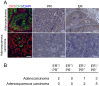 Figure 1—figure supplement 1.