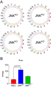 Figure 3—figure supplement 2.