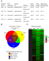 Figure 4—figure supplement 1.