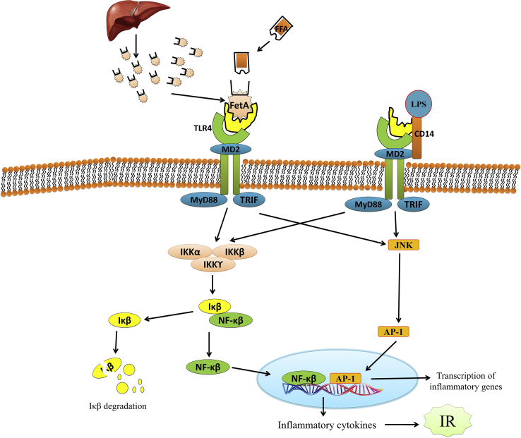 Figure 2