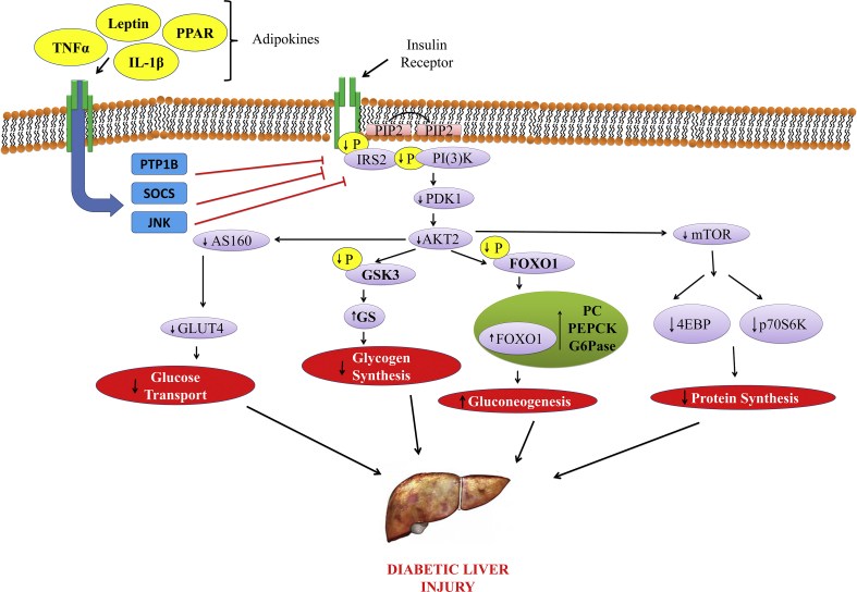 Figure 3