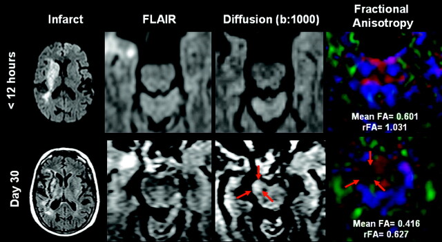 Fig 2.