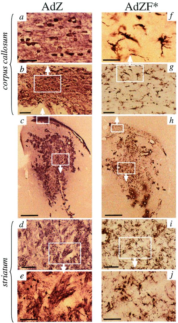 FIG.3.