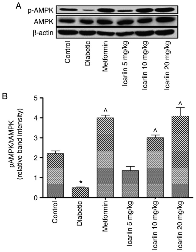 Figure 5.