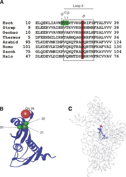 FIGURE 1.