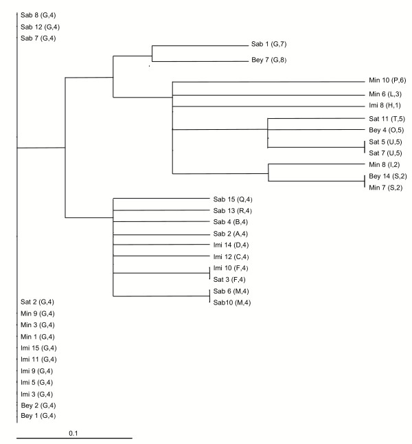 Figure 5