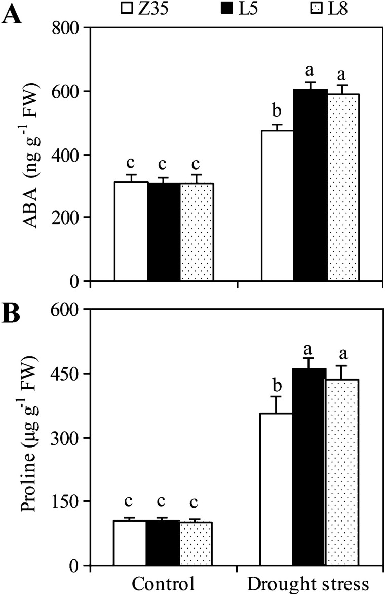 Fig. 8.