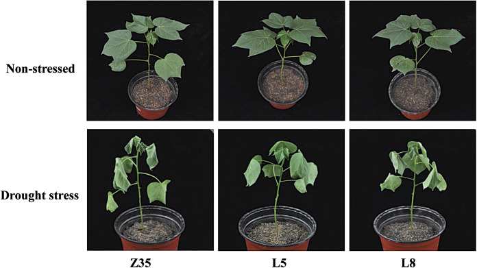 Fig. 4.