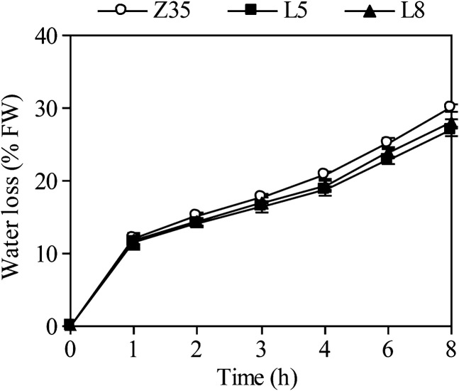 Fig. 3.