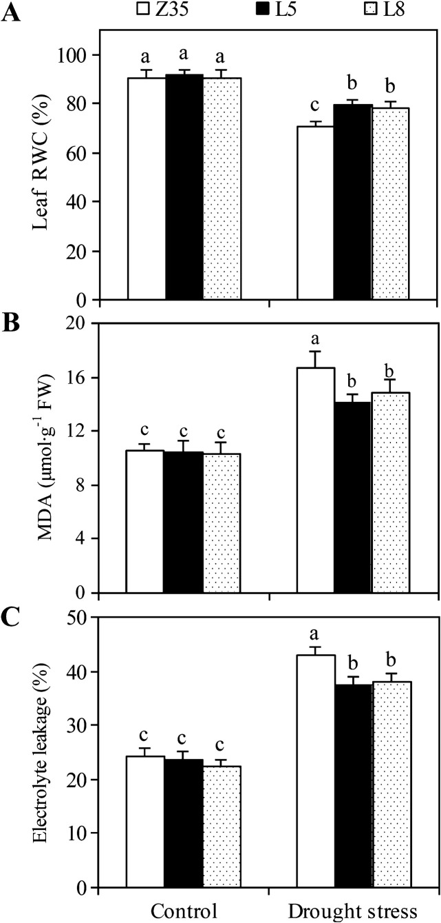 Fig. 6.