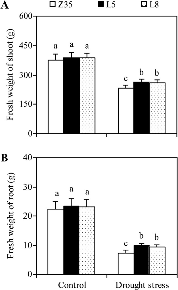 Fig. 5.