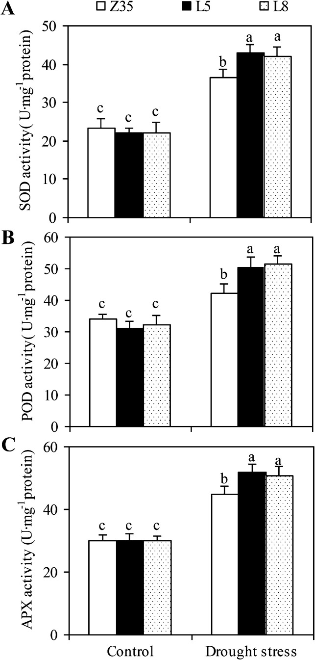 Fig. 7.