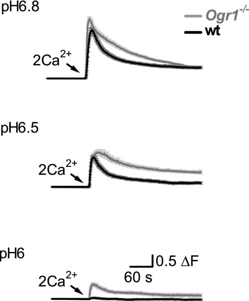 Fig. S6.