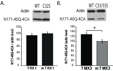 Fig2