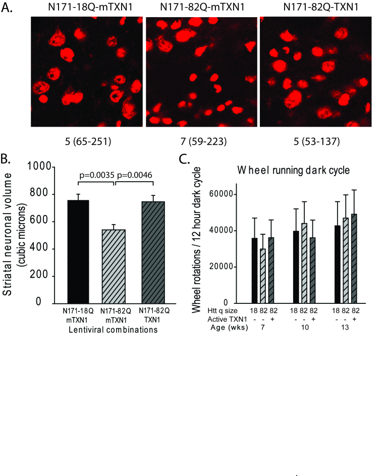 Fig6rb