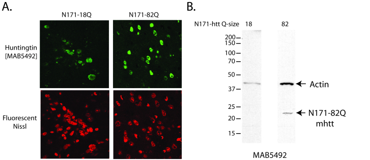 Fig4rb