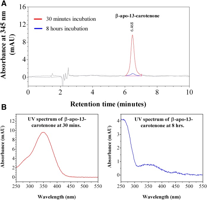 Fig. 10.