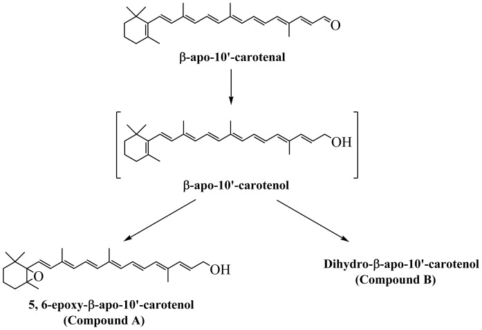 Fig. 14.