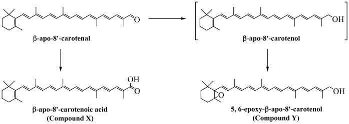 Fig. 13.