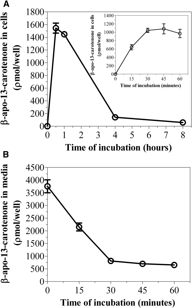 Fig. 11.