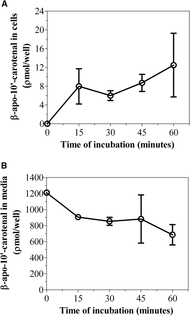 Fig. 9.