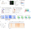 Figure 1.
<b>YY1 regulates transcription at the morula stage.</b>