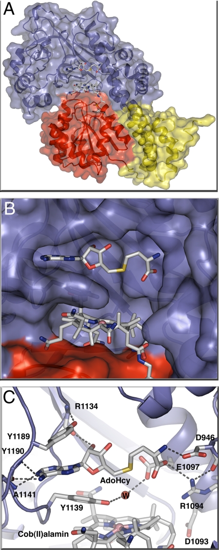 Fig. 2.