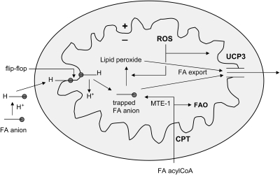 FIG. 12.