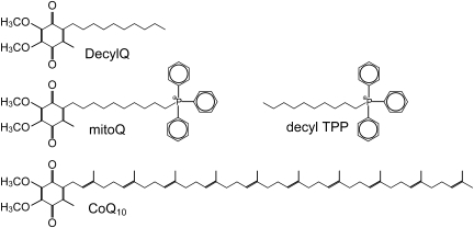 FIG. 14.