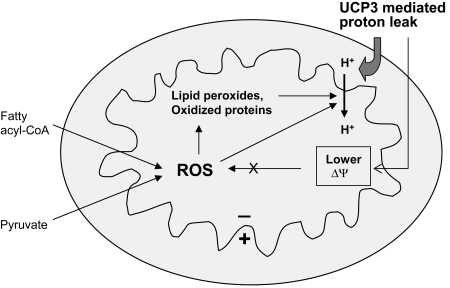 FIG. 11.