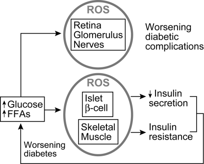 FIG. 10.