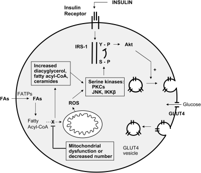 FIG. 7.