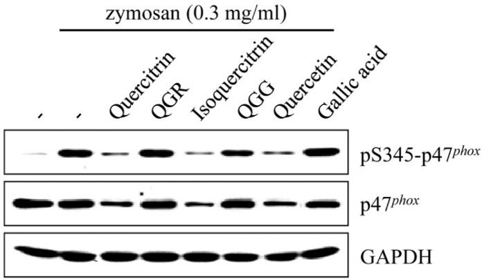 Fig. 9.